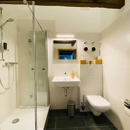 Daire Yourfavoritebed Designerapartments Zentrum Zwickau