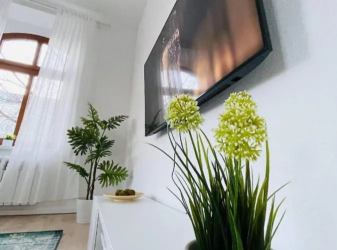 Yourfavoritebed Designerapartments Zentrum Appartement Zwickau